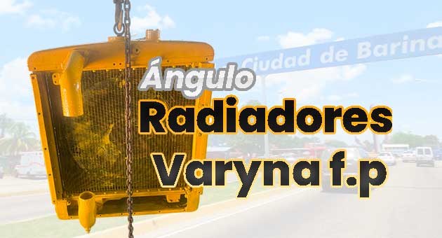 Ángulo Radiadores varyna f.p